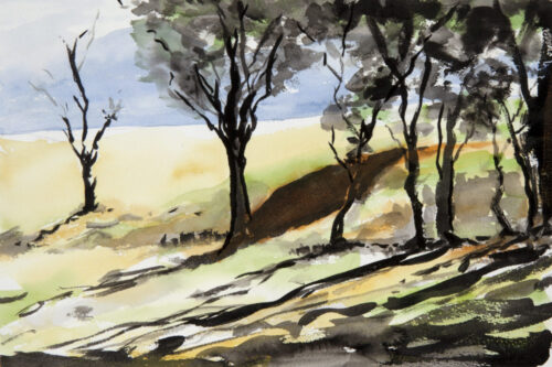 PLAY OF LIGHT ON THE GOLDFIELDS by Jim Keays