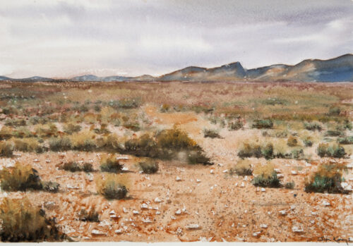 SALT BUSH DREAMING by Jim Keays (SOLD)